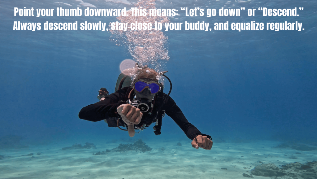 5 SIGNALS Every Diver Should Know