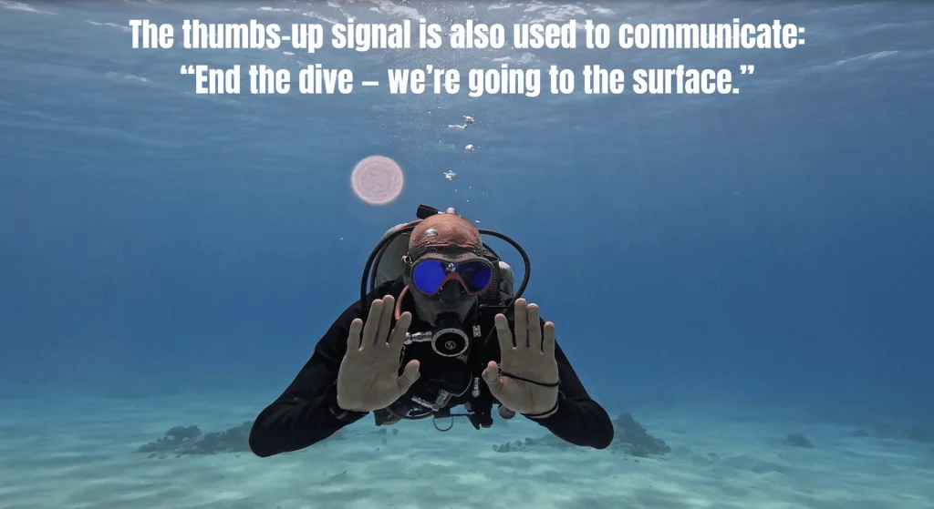5 SIGNALS Every Diver Should Know
