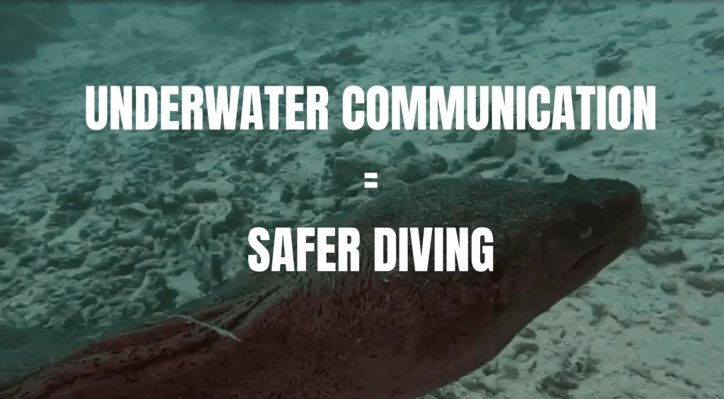 5 SIGNALS Every Diver Should Know