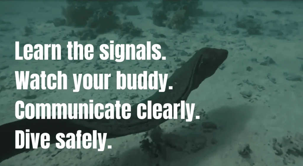 5 SIGNALS Every Diver Should Know