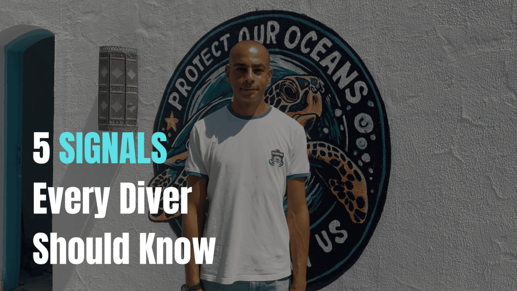 5 SIGNALS Every Diver Should Know