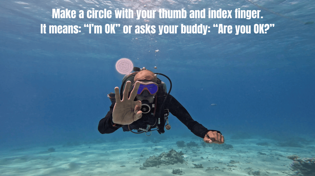 5 SIGNALS Every Diver Should Know