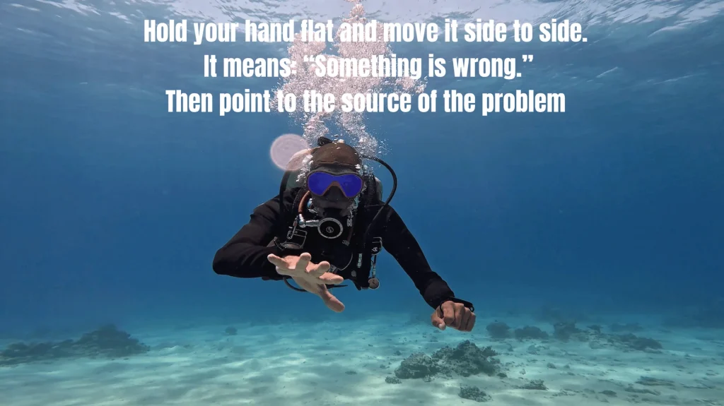 5 SIGNALS Every Diver Should Know