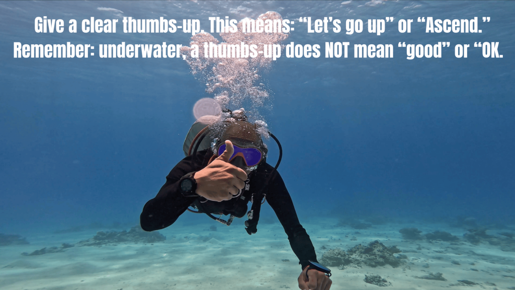 5 SIGNALS Every Diver Should Know
