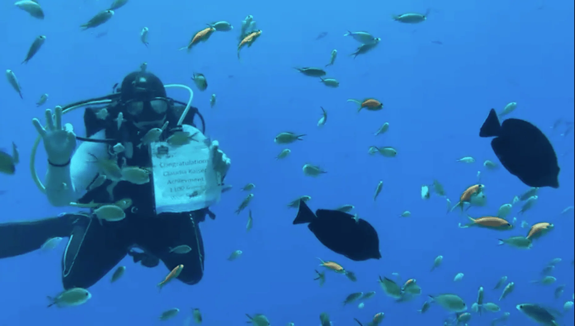Claudia Kaiser Hits 1100 dives with Scorpion Diving Club