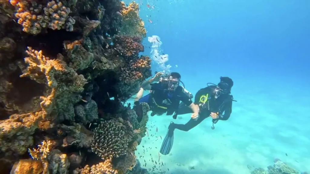 Scuba divers exploring the vibrant coral of the Near Garden house reef with Scorpion Dive Club, the best diving center in Sharm El Sheikh.