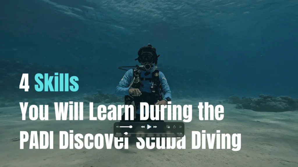 Learn to Dive in Sharm El Sheikh | 4 PADI Discover Scuba Skills