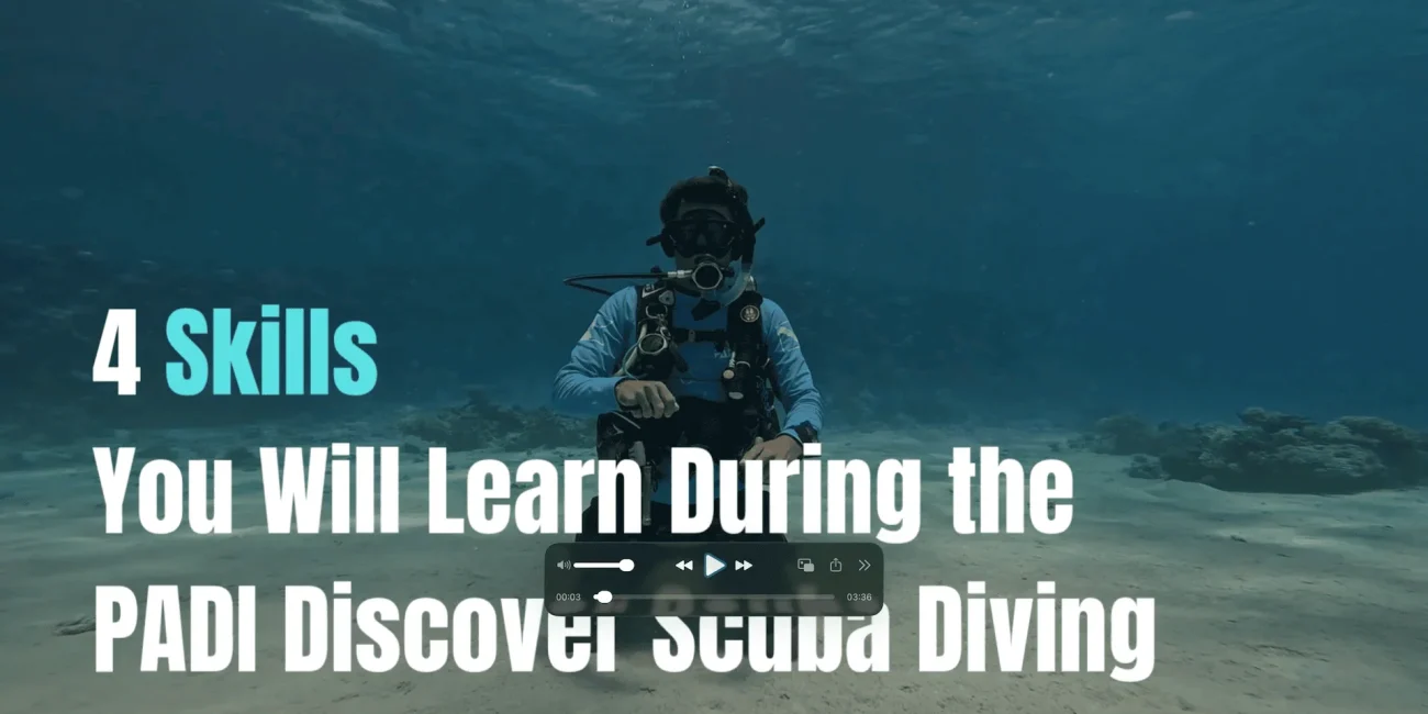 Learn to Dive in Sharm El Sheikh | 4 PADI Discover Scuba Skills