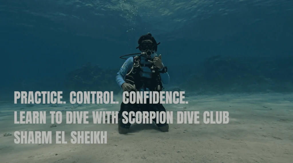 Practice. Control. Confidence. Learn to Dive in Sharm El Sheikh | 4 PADI Discover Scuba Skills