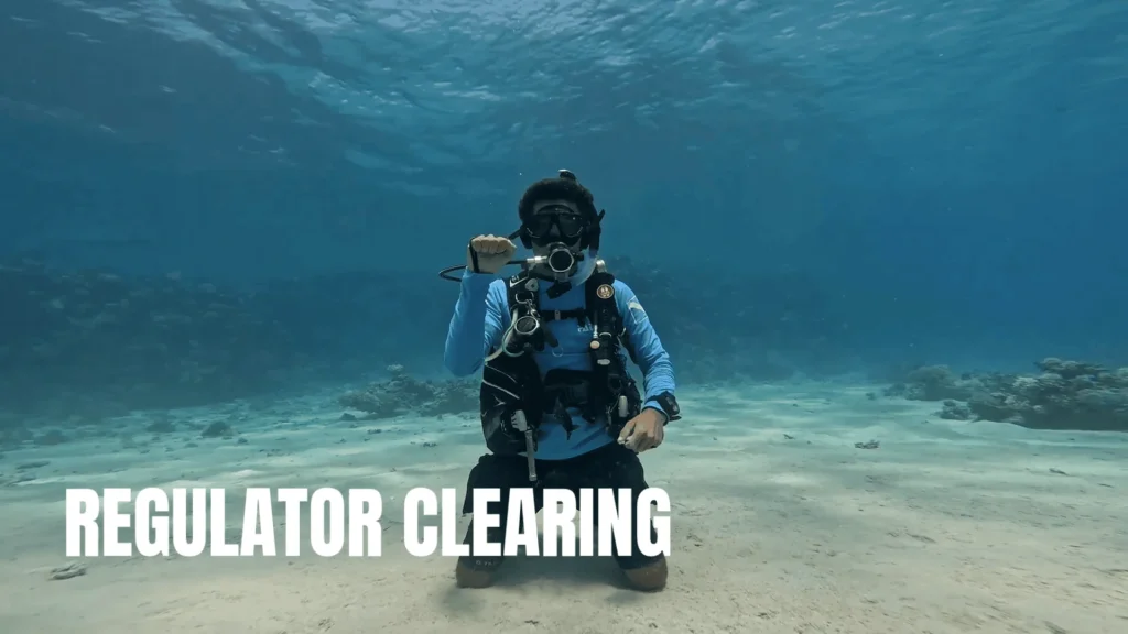 Learn to Dive in Sharm El Sheikh | 4 PADI Discover Scuba Skills