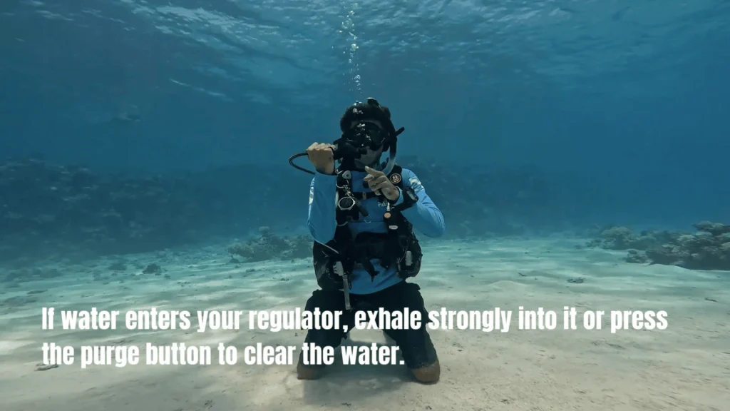 Learn to Dive in Sharm El Sheikh | 4 PADI Discover Scuba Skills