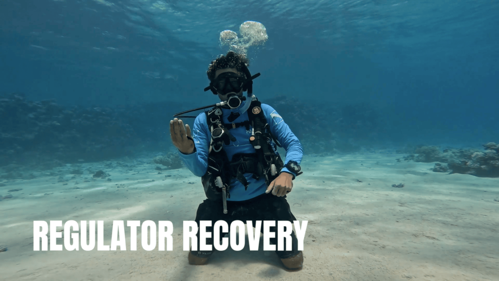 Learn to Dive in Sharm El Sheikh | 4 PADI Discover Scuba Skills