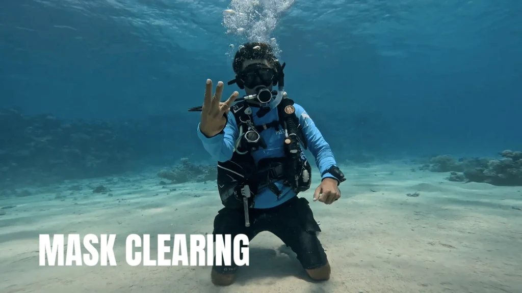 Learn to Dive in Sharm El Sheikh | 4 PADI Discover Scuba Skills